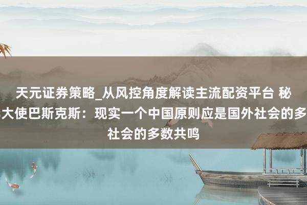 天元证券策略_从风控角度解读主流配资平台 秘鲁驻华大使巴斯克斯：现实一个中国原则应是国外社会的多数共鸣