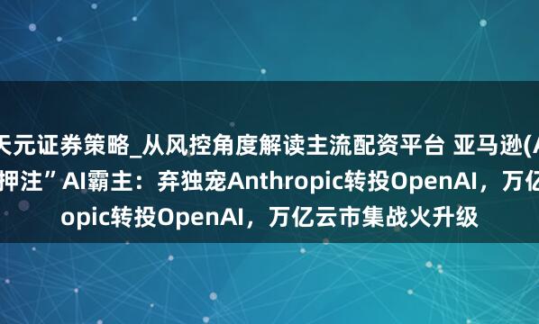 天元证券策略_从风控角度解读主流配资平台 亚马逊(AMZN.US)“双线押注”AI霸主：弃独宠Anthropic转投OpenAI，万亿云市集战火升级