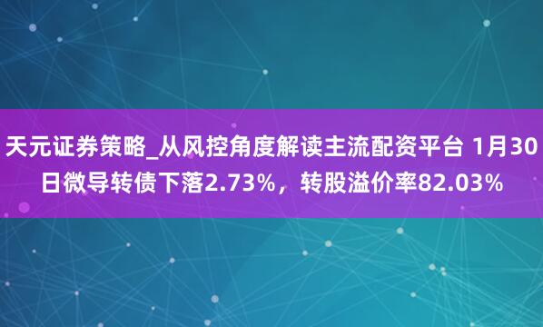 天元证券策略_从风控角度解读主流配资平台 1月30日微导转债下落2.73%，转股溢价率82.03%