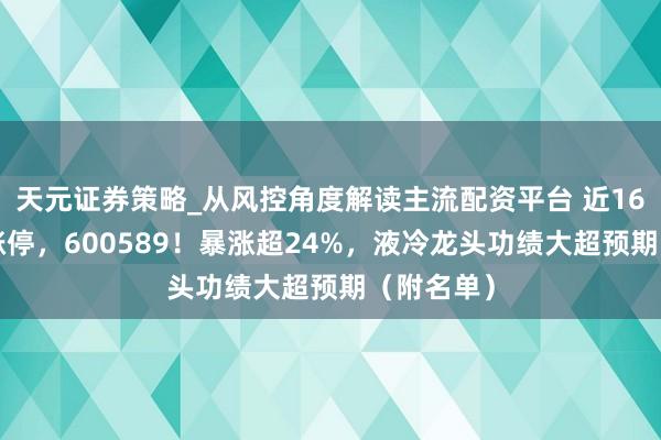 天元证券策略_从风控角度解读主流配资平台 近168万手封涨停，600589！暴涨超24%，液冷龙头功绩大超预期（附名单）