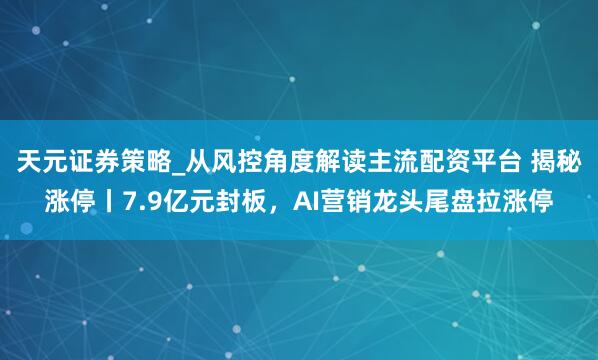 天元证券策略_从风控角度解读主流配资平台 揭秘涨停丨7.9亿元封板，AI营销龙头尾盘拉涨停
