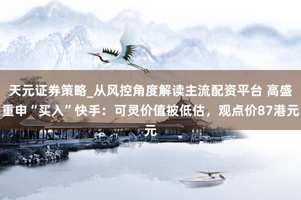 天元证券策略_从风控角度解读主流配资平台 高盛重申“买入”快手：可灵价值被低估，观点价87港元