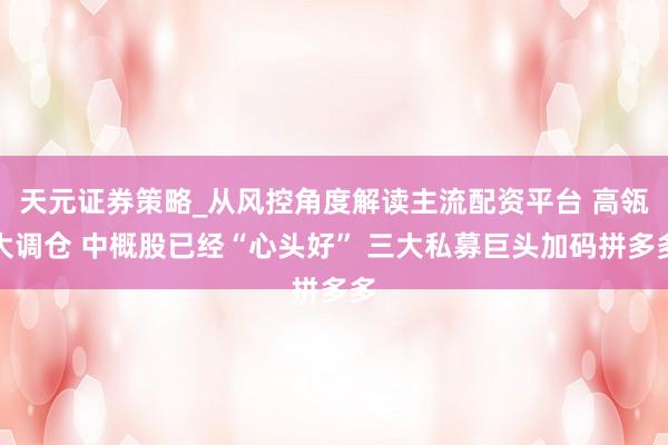 天元证券策略_从风控角度解读主流配资平台 高瓴大调仓 中概股已经“心头好” 三大私募巨头加码拼多多