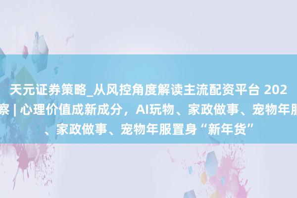 天元证券策略_从风控角度解读主流配资平台 2026年货耗尽不雅察 | 心理价值成新成分，AI玩物、家政做事、宠物年服置身“新年货”